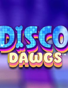 Disco Dawgs review
