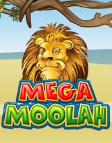Mega Moolah review
