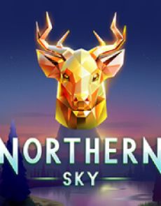 Northern Sky review