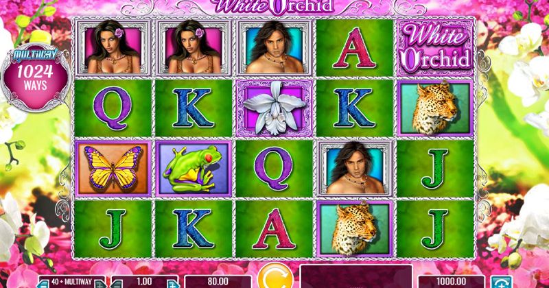 Play in White Orchid Slot Online from IGT for free now | Ontario Casino