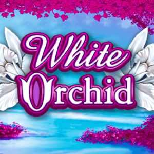 White Orchid Gameplay Facts & Figures