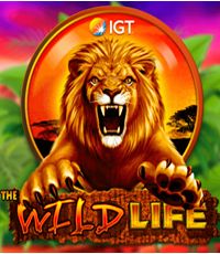 Play in The Wild Life Slot Online from IGT for free now | Ontario Casino
