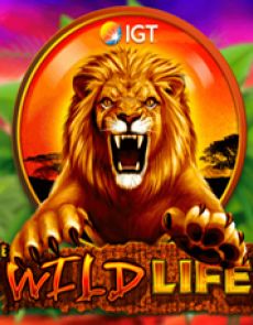 Wild Life review